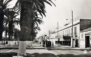 Arzew 509- L' esplanade COLLECTION DES AMIS DE ND DE SANTA CRUZ